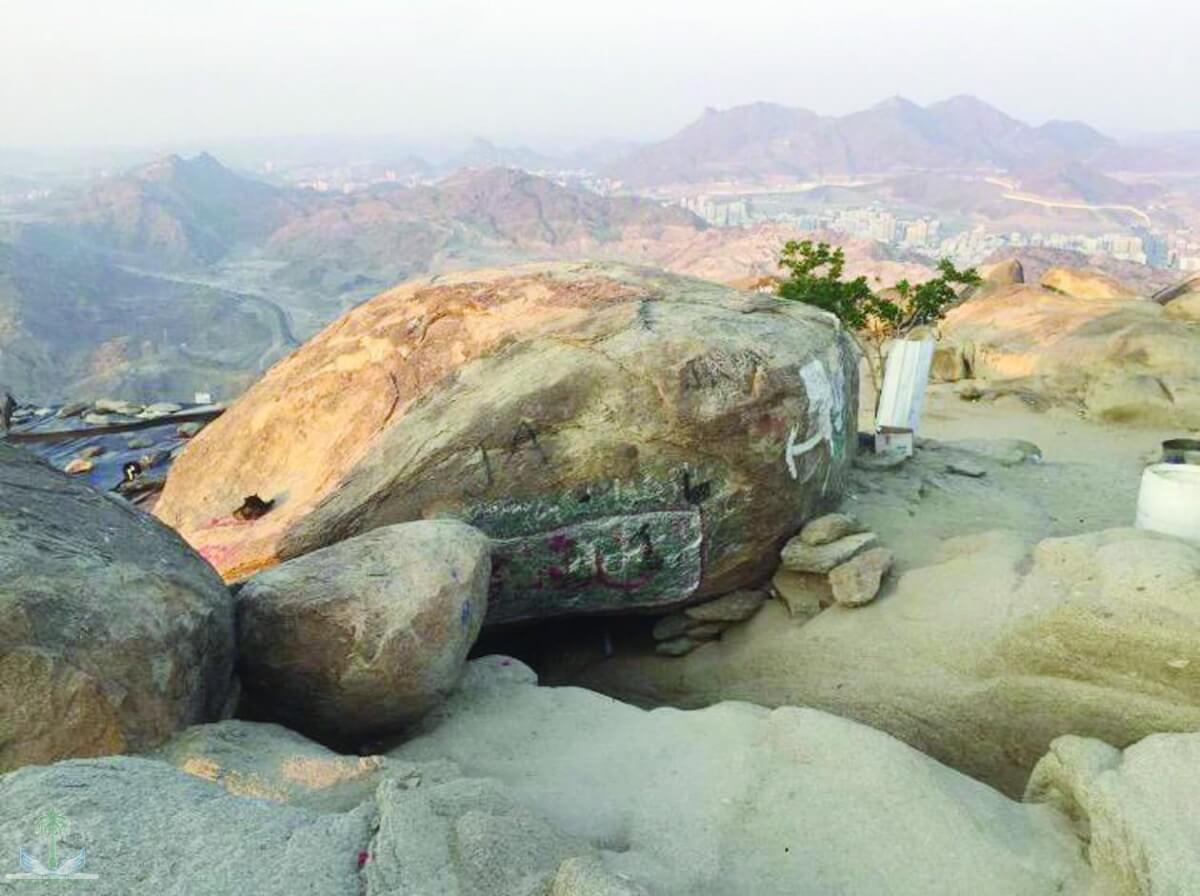 Tourism Tours Organization